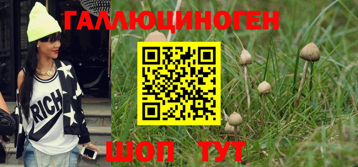 Псилоцибиновые грибы ЛСД Медногорск