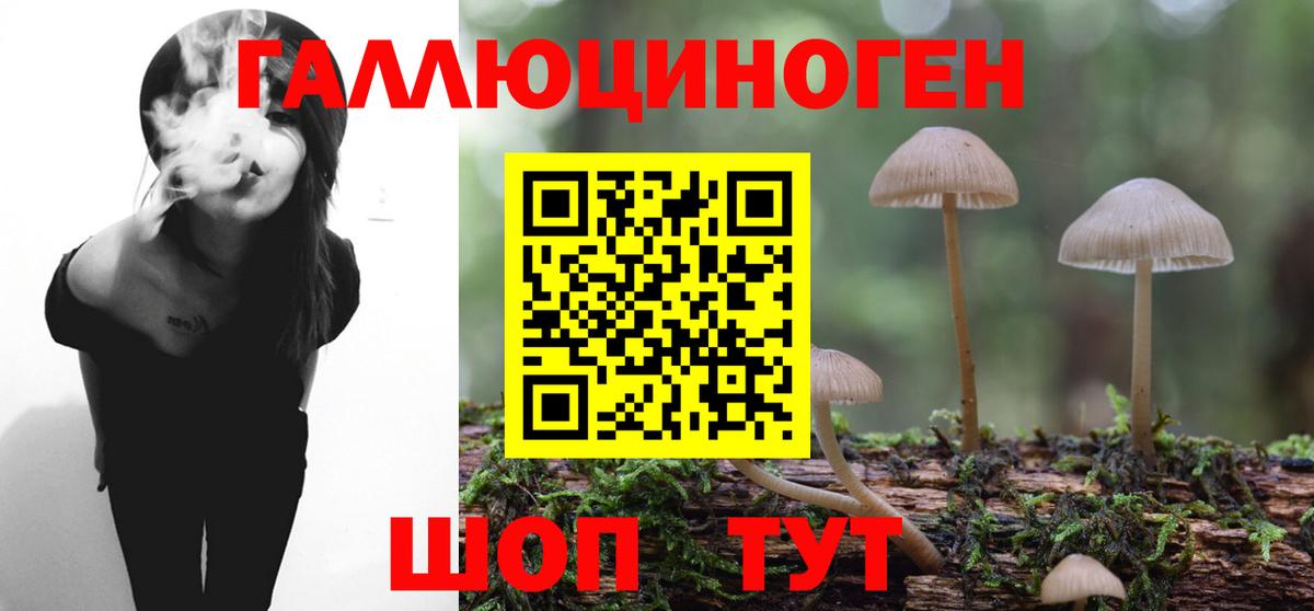 Псилоцибиновые грибы Psilocybe  Вход с VPN  Медногорск 